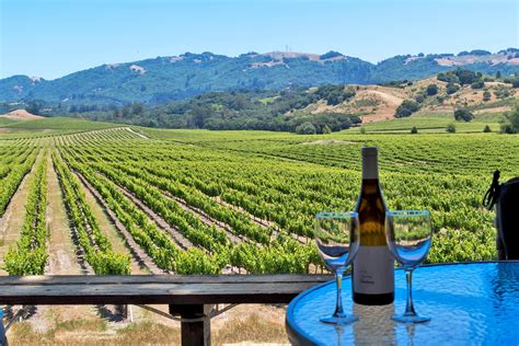 wine tasting tours in california
